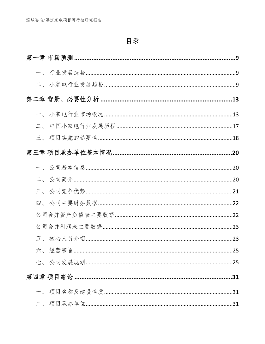 湛江家电项目可行性研究报告【模板范文】_第1页