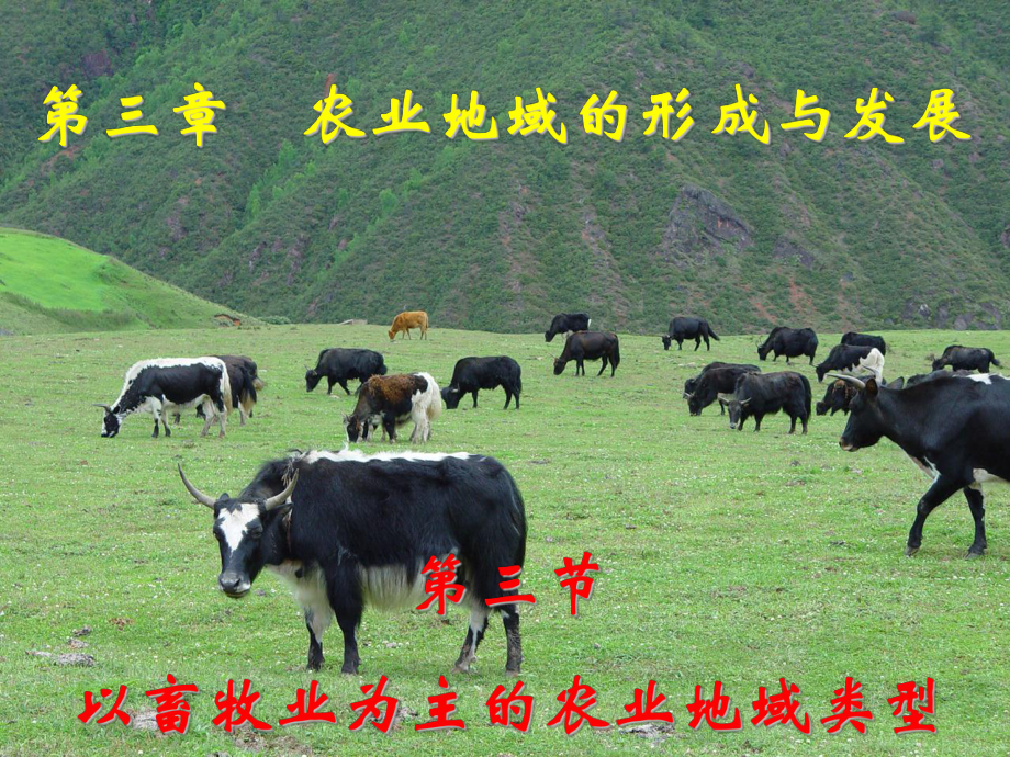 人教版高中地理课件：以畜牧业为主的农业地域类型大牧场放牧业_第1页