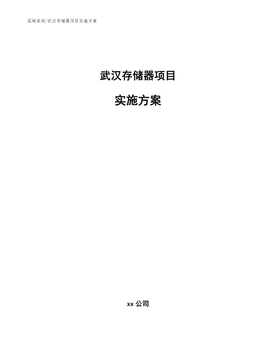 武汉存储器项目实施方案模板_第1页