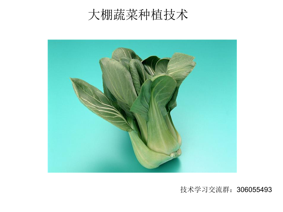 《大棚蔬菜種植技術(shù)》PPT課件_第1頁