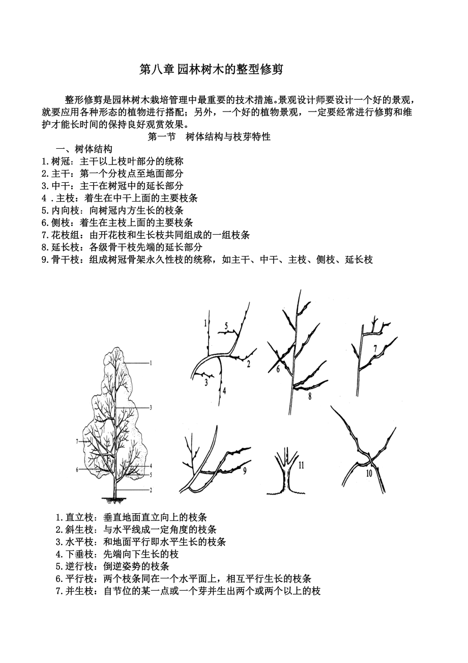 [农学]树木栽培学教案第8章整型修剪_第1页