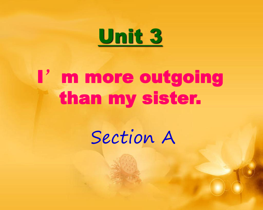 Unit3I39;mmoreoutgoingthanmysisterSectionA_第1页