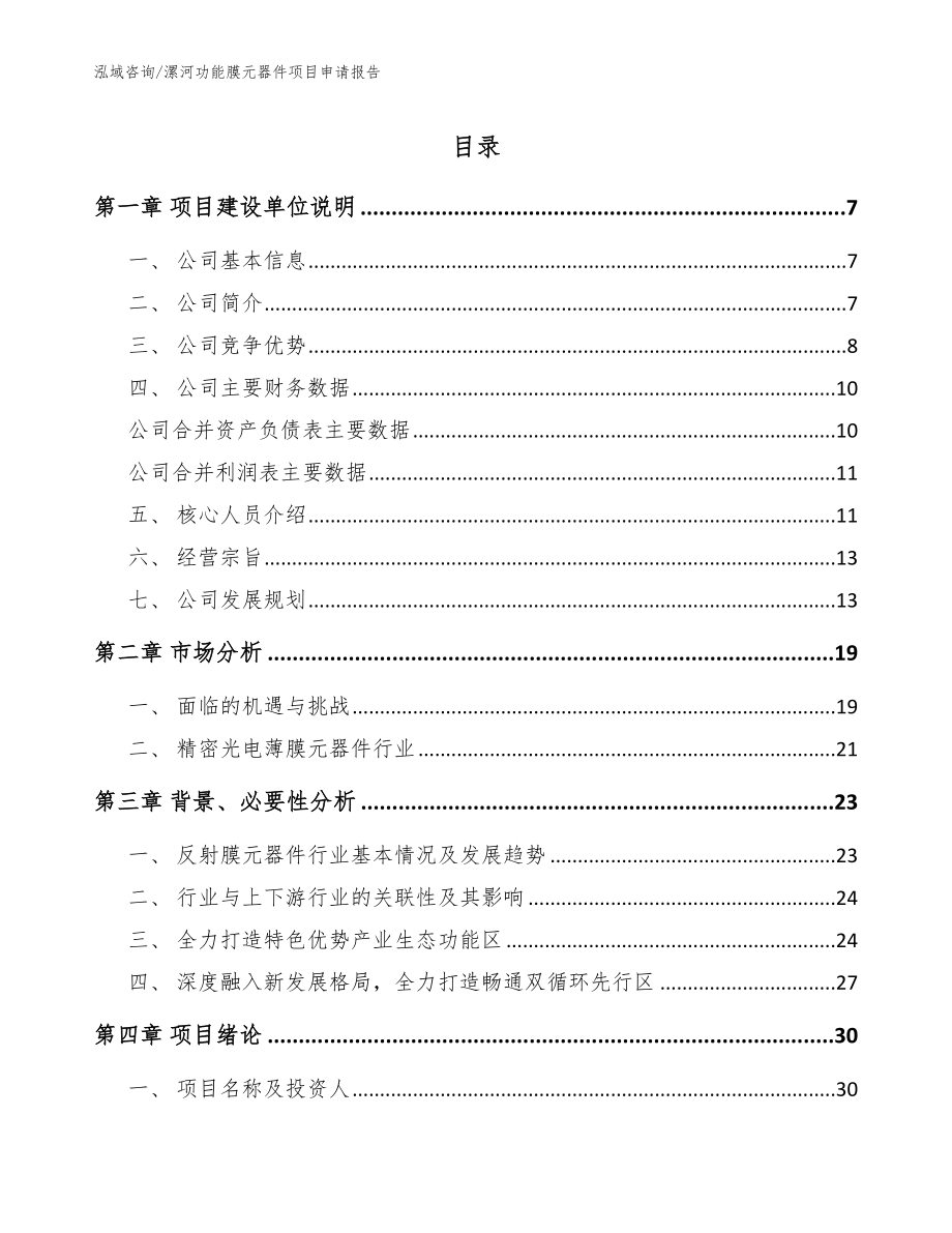 漯河功能膜元器件项目申请报告_第1页