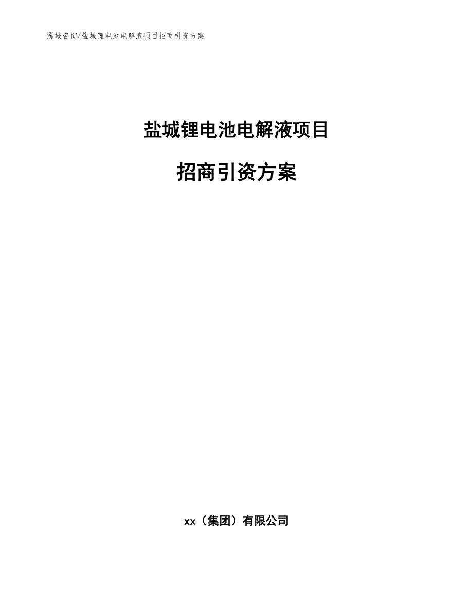 盐城锂电池电解液项目招商引资方案模板范文_第1页