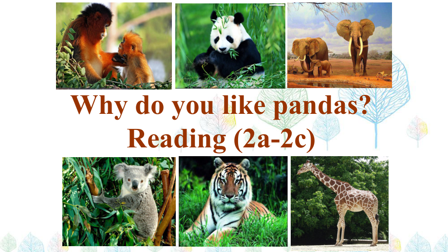 人教版七年级英语下册Unit-5-Why-do-you-like-pandas公开课ppt课件_第1页
