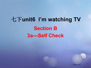 （水滴系列）七年級英語下冊 Unit 6 I’m watching TV（第6課時(shí)）Section B（3aself check）課件 （新版）人教新目標(biāo)版[共23頁]