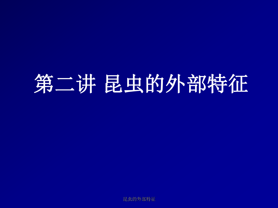 昆虫的外部特征课件_第1页