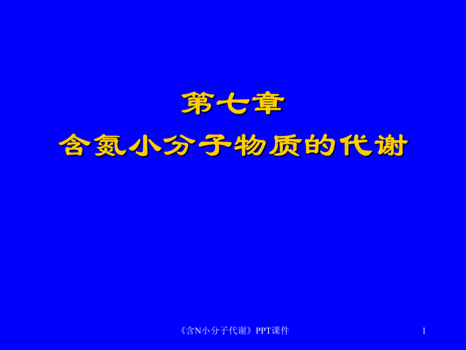 含N小分子代谢课件_第1页