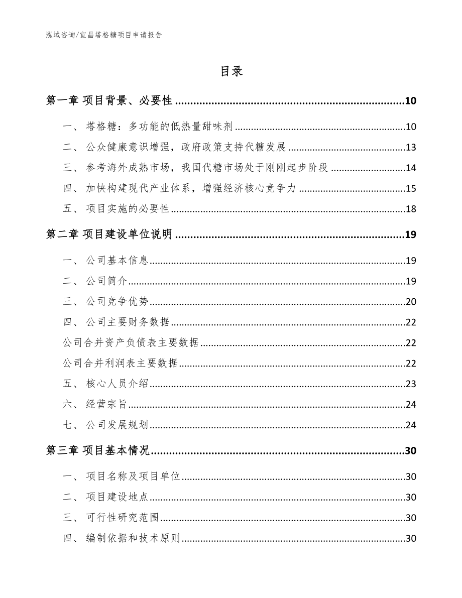 宜昌塔格糖项目申请报告【范文】_第1页