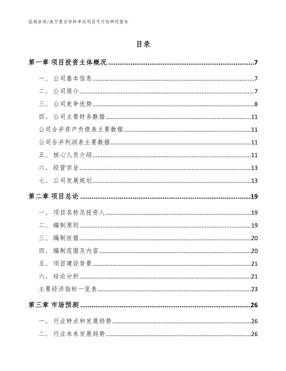 咸宁复合材料单丝项目可行性研究报告（范文）_第1页