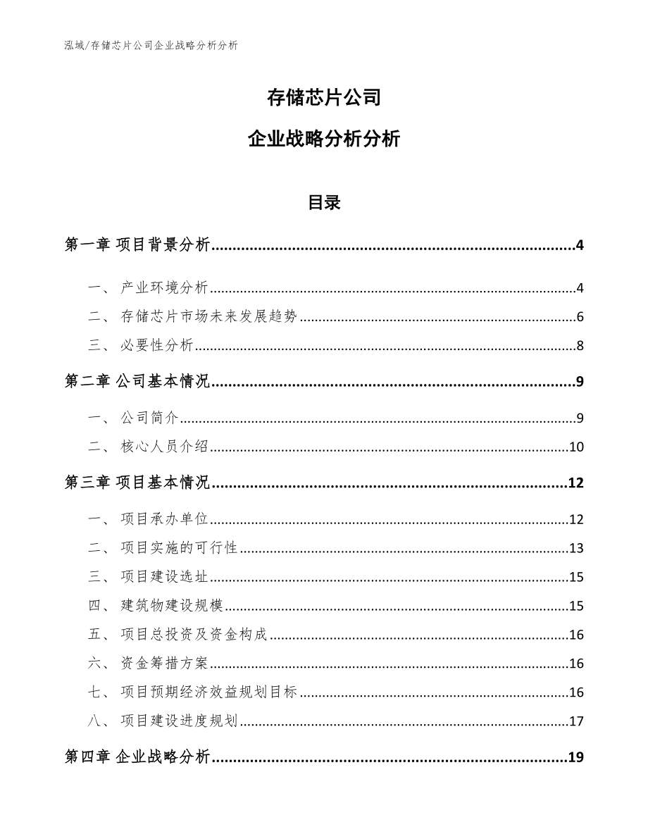 存储芯片公司企业战略分析分析（范文）_第1页