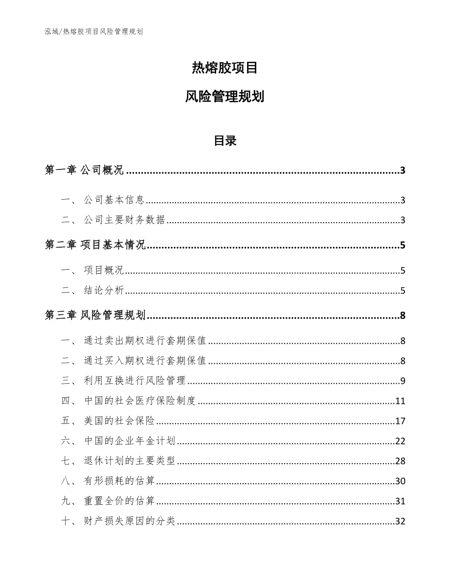 热熔胶项目风险管理规划_第1页