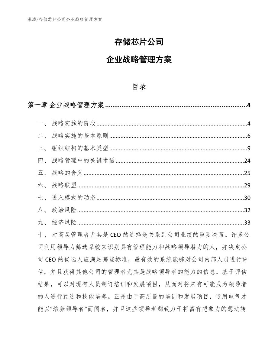 存储芯片公司企业战略管理方案_第1页