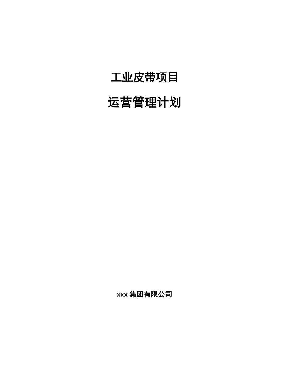 工业皮带项目运营管理计划_参考_第1页