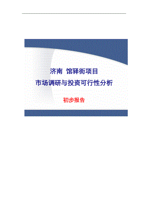 济南馆驿街项目市场调研与投资可行性分析初步报告