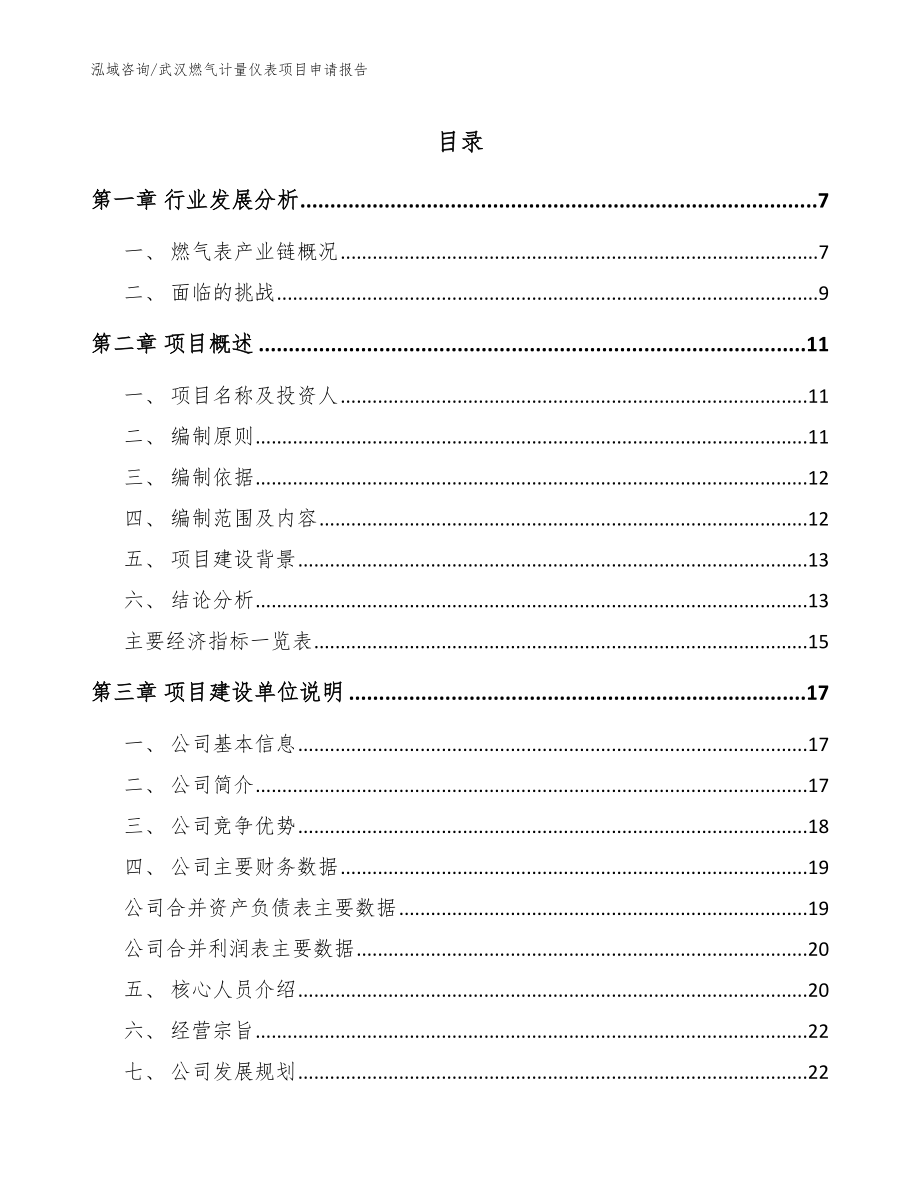 武汉燃气计量仪表项目申请报告范文参考_第1页