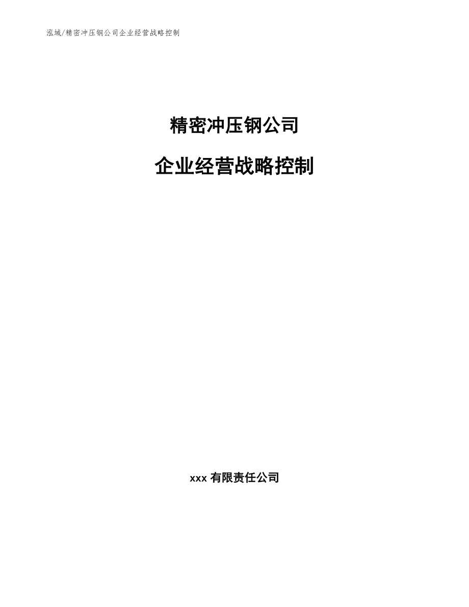 精密冲压钢公司企业经营战略控制_第1页