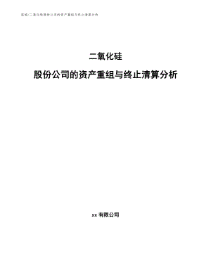 二氧化硅股份公司的资产重组与终止清算分析