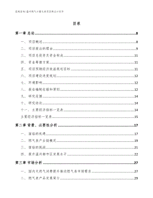 温州燃气计量仪表项目商业计划书（参考范文）