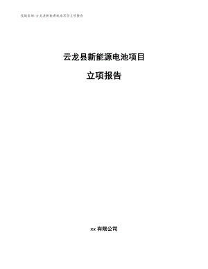 云龙县新能源电池项目立项报告_参考范文