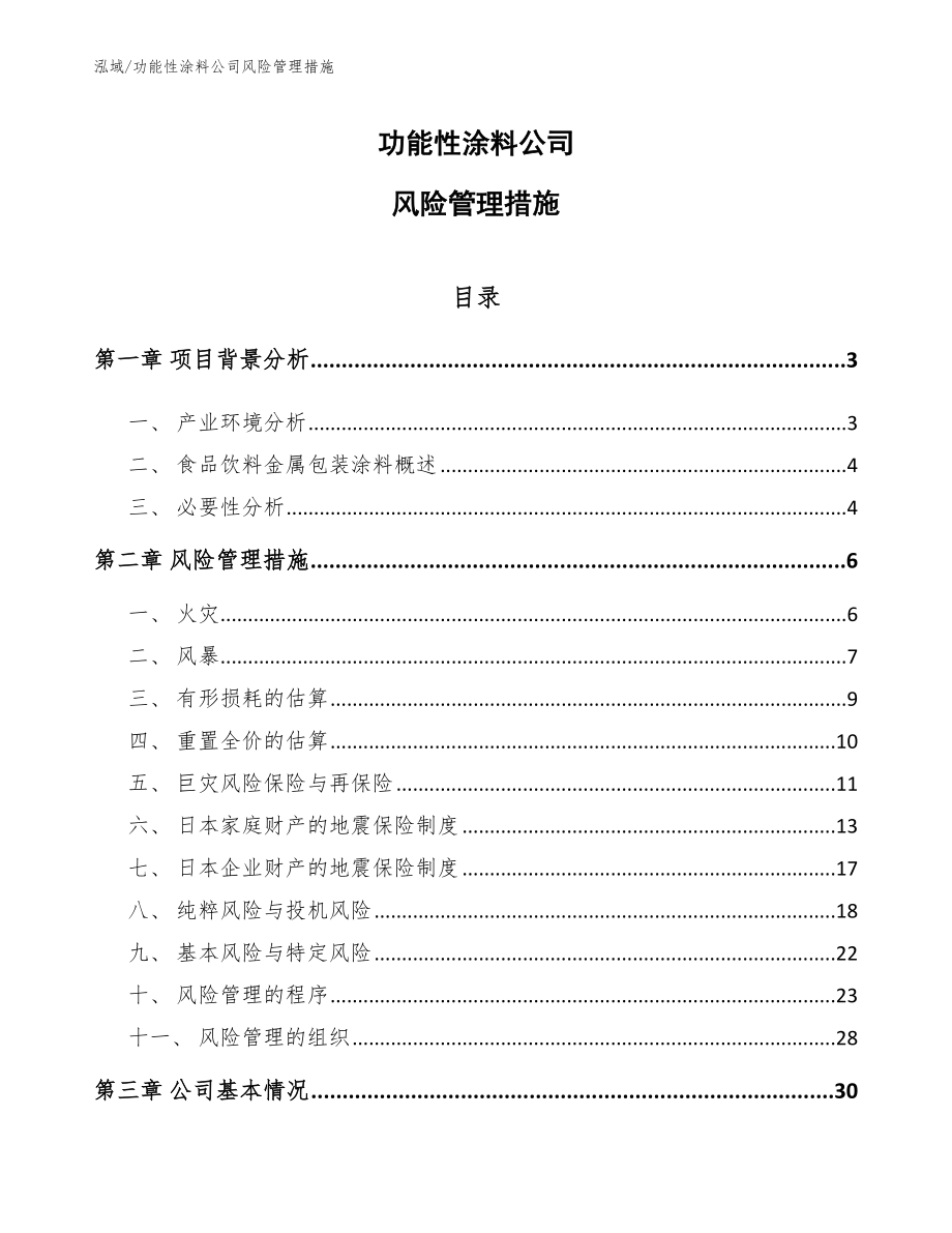 功能性涂料公司风险管理措施_范文_第1页