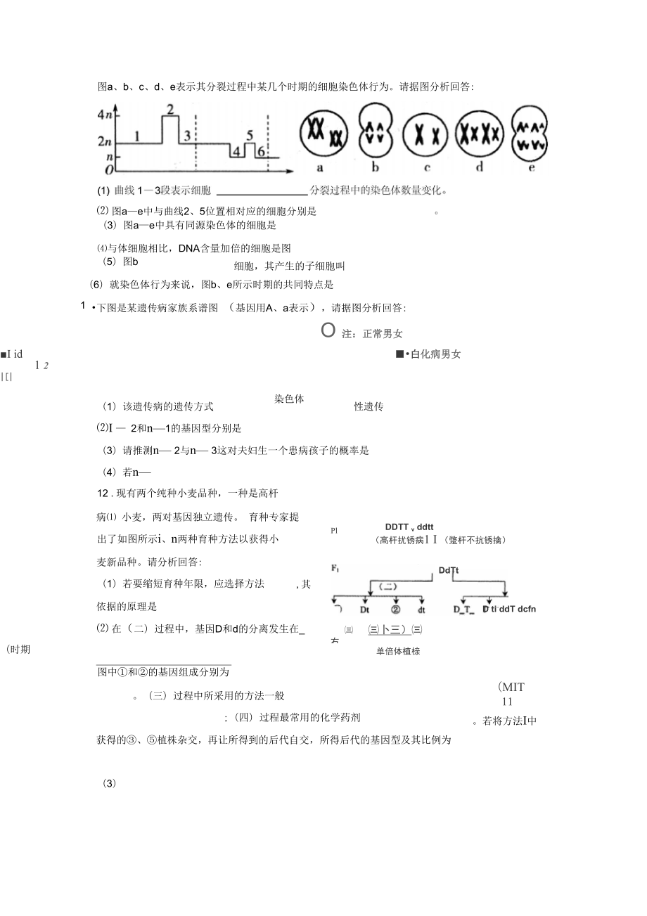 《探索遺傳物質的過程》學案4_第1頁