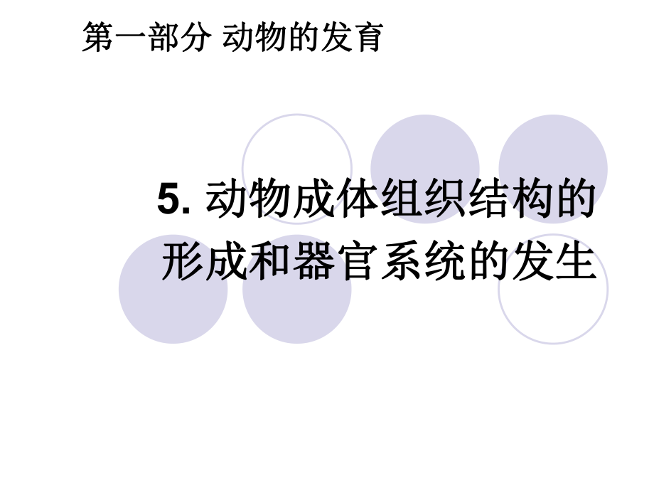 动物成体组织结构的形成和器官系统的发_第1页