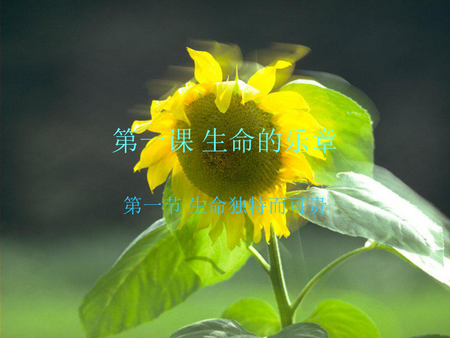 一章节生命乐章节_第1页