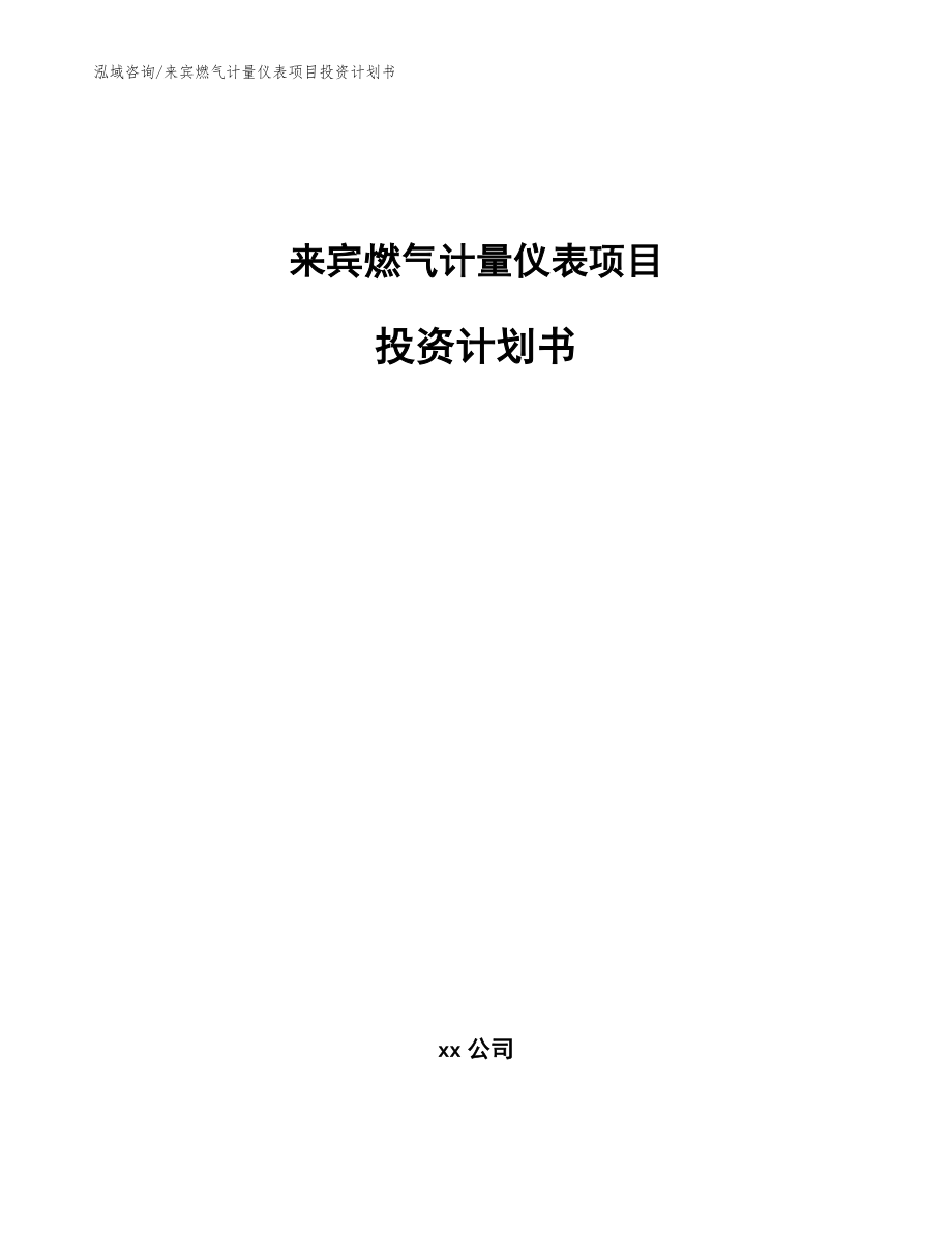 来宾燃气计量仪表项目投资计划书_范文_第1页