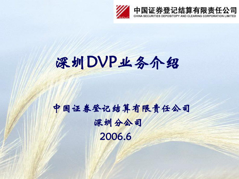深圳DVP业务介绍_第1页