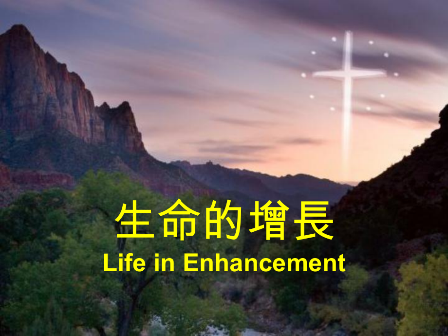 生命的增长LifeinEnhancement_第1页
