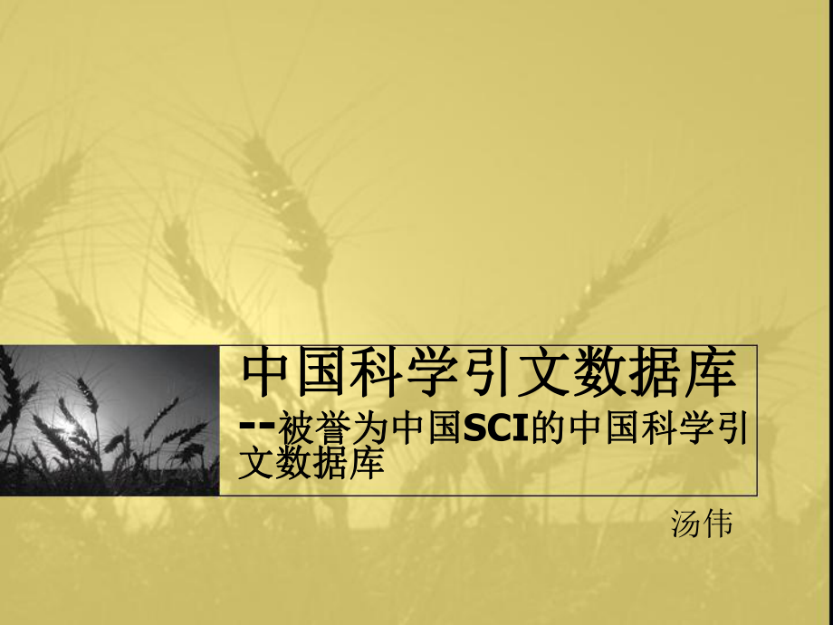 中国科学引文数据库被誉为中国SCI的中国科学引文数据库_第1页