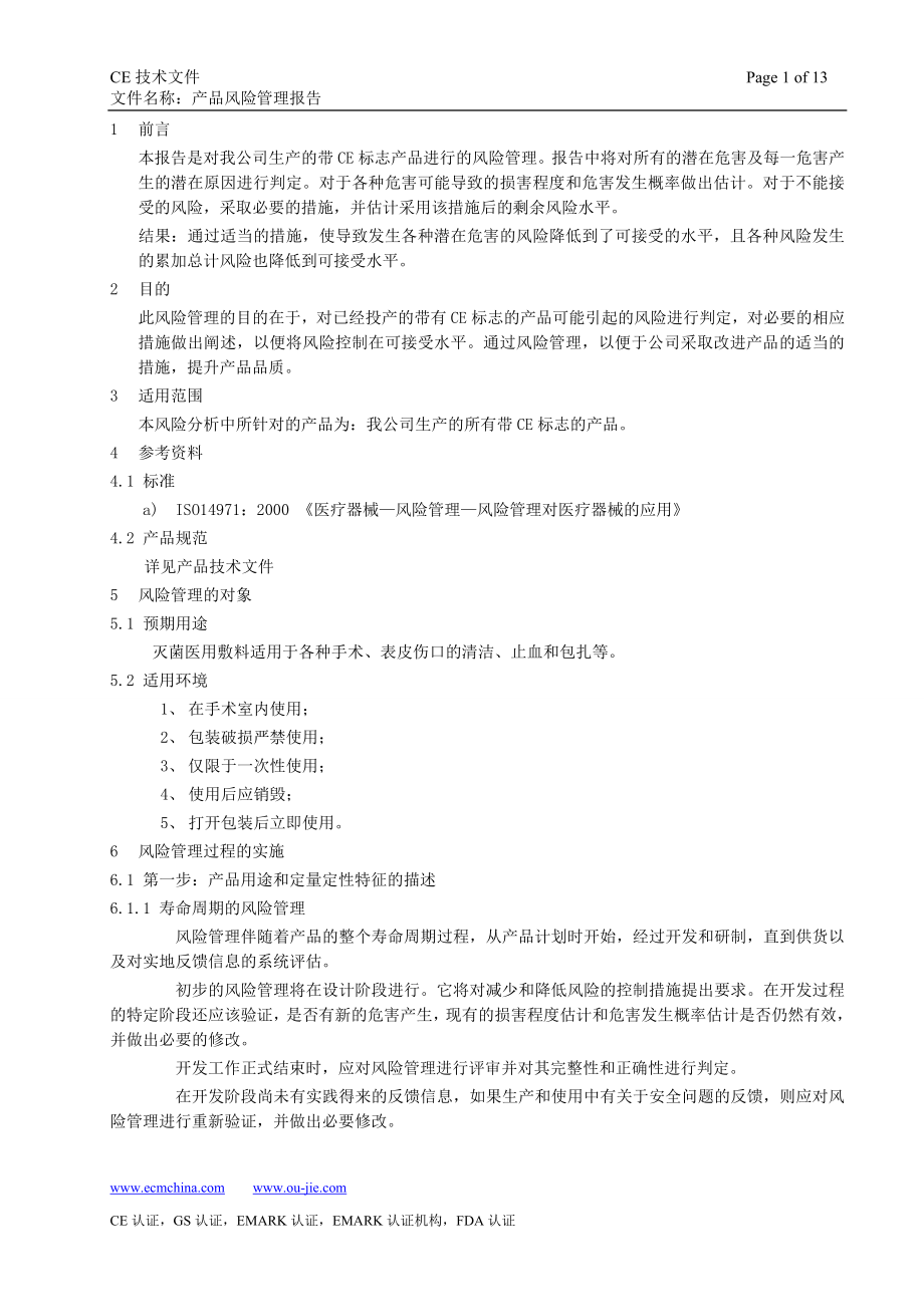 CE技术文件——产品风险管理报告_第1页