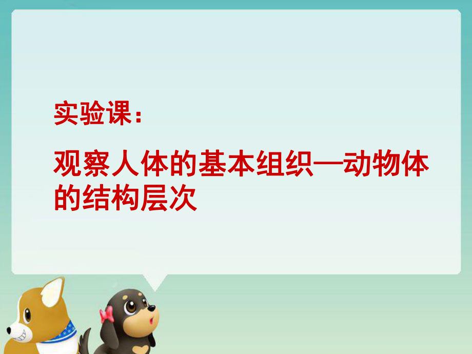 初中生物实验观察人体的基本组织—动物体的结构层次说课稿_第1页