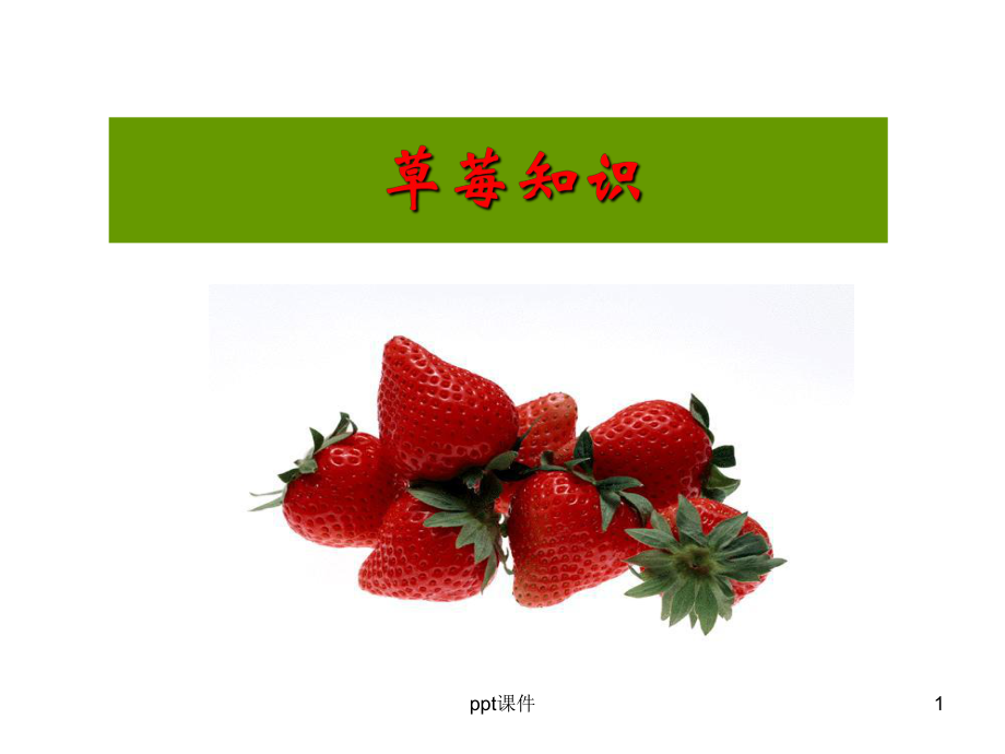 草莓形态结构详解课件_第1页