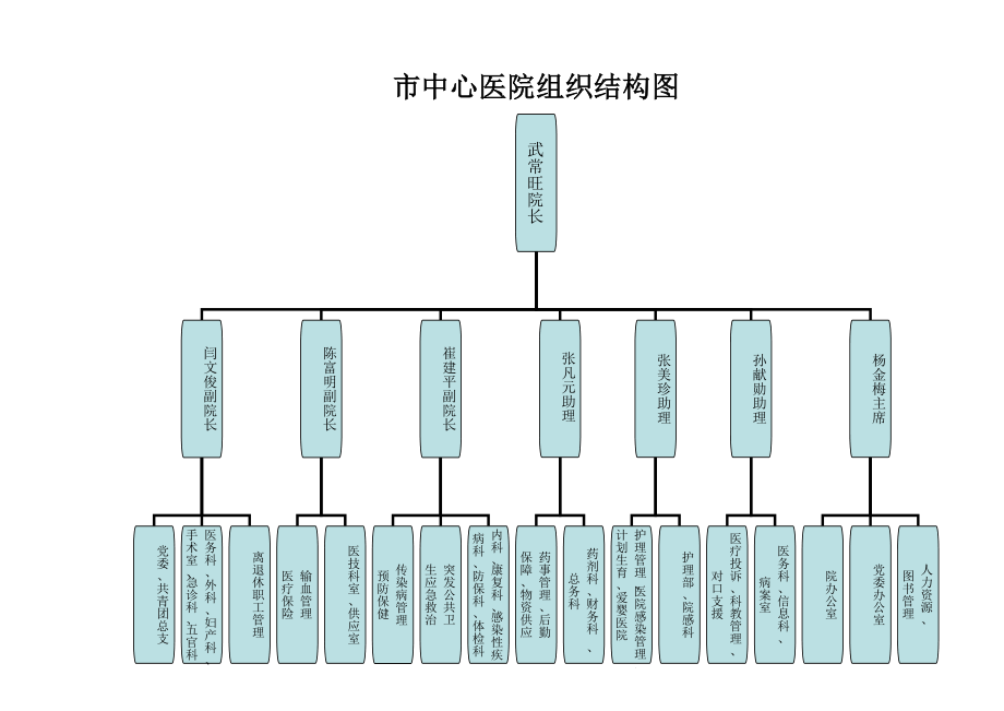 中心医院组织结构图_第1页