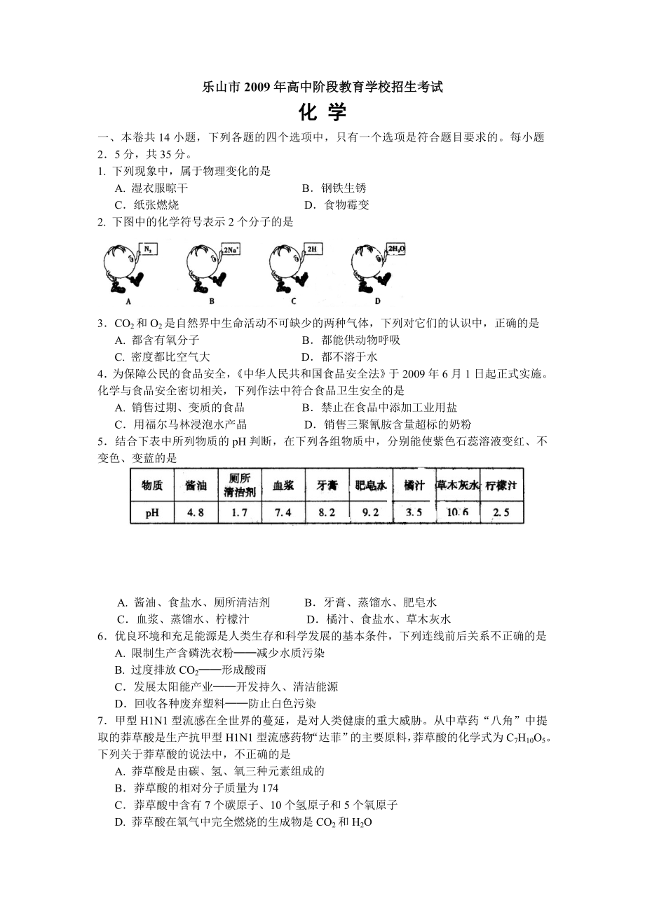 乐山市高中阶段招生考试化学试题_第1页