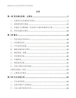 杭州光电子原件项目可行性研究报告（模板范本）