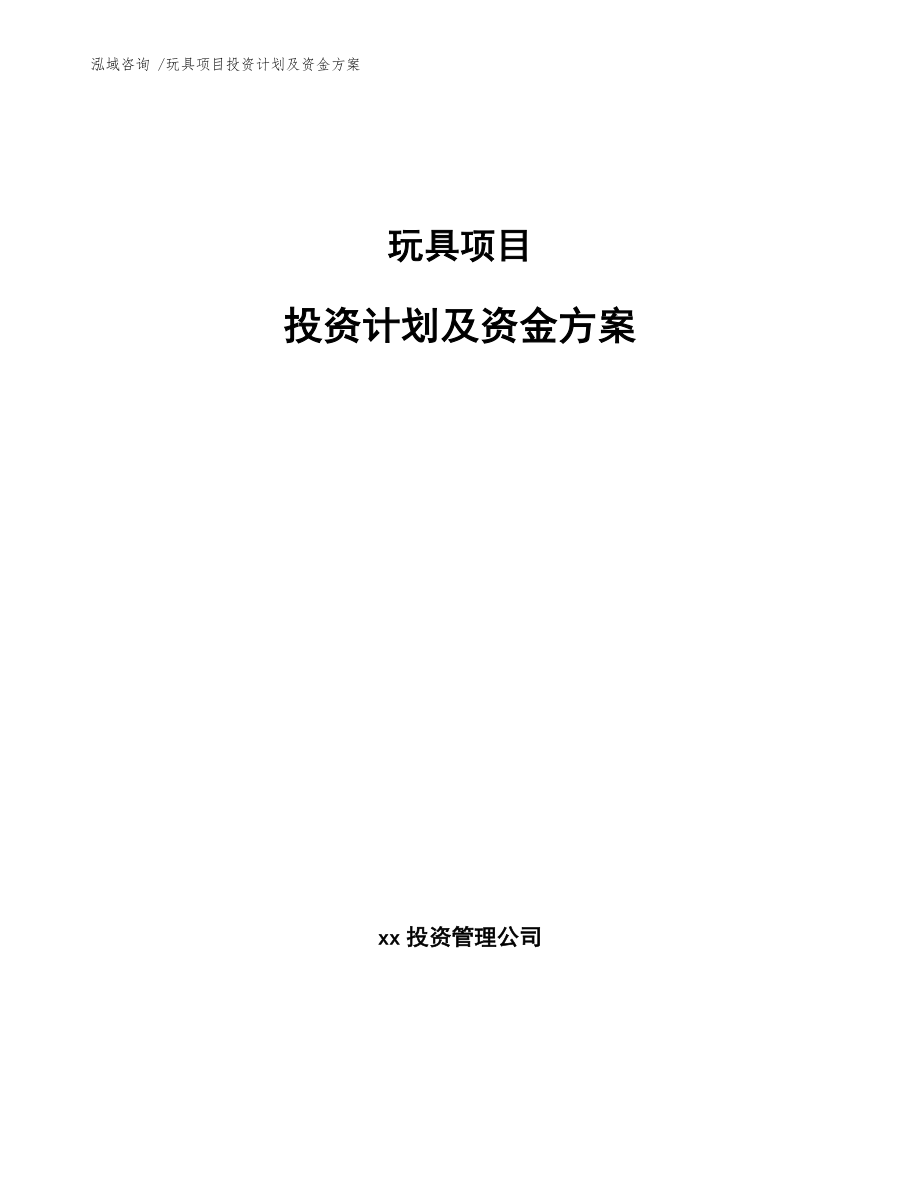 玩具项目投资计划及资金方案（模板范文）_第1页