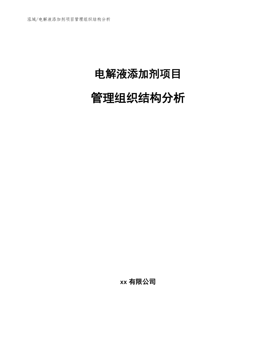 电解液添加剂项目管理组织结构分析_第1页