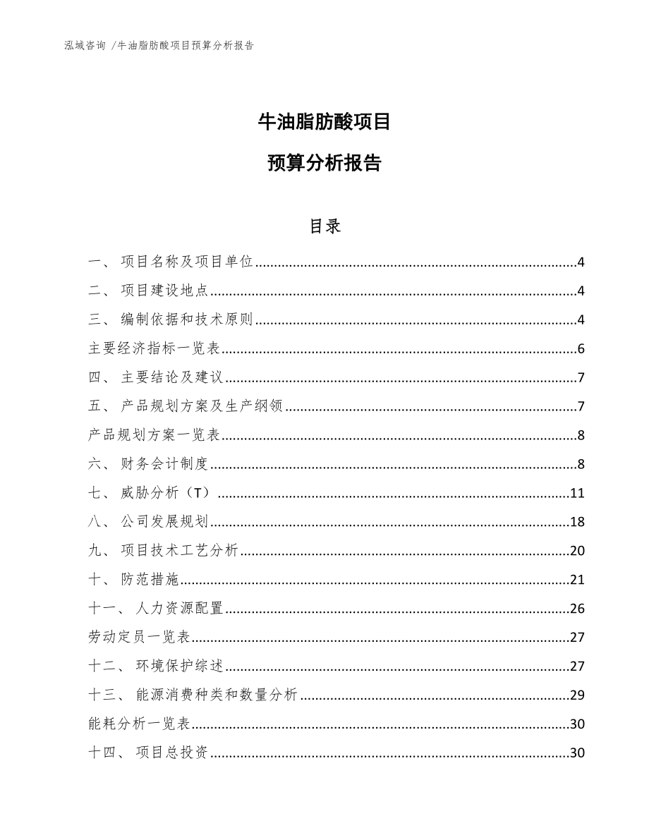 牛油脂肪酸项目预算分析报告_第1页