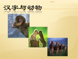 甲骨文汉字与动物--课件