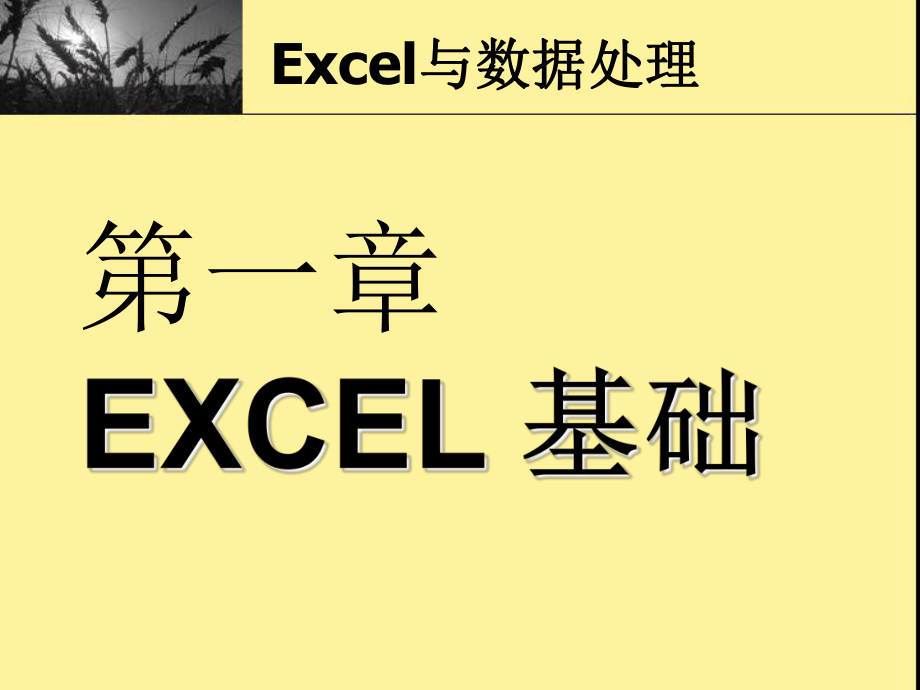 Excel数据处理_第1页