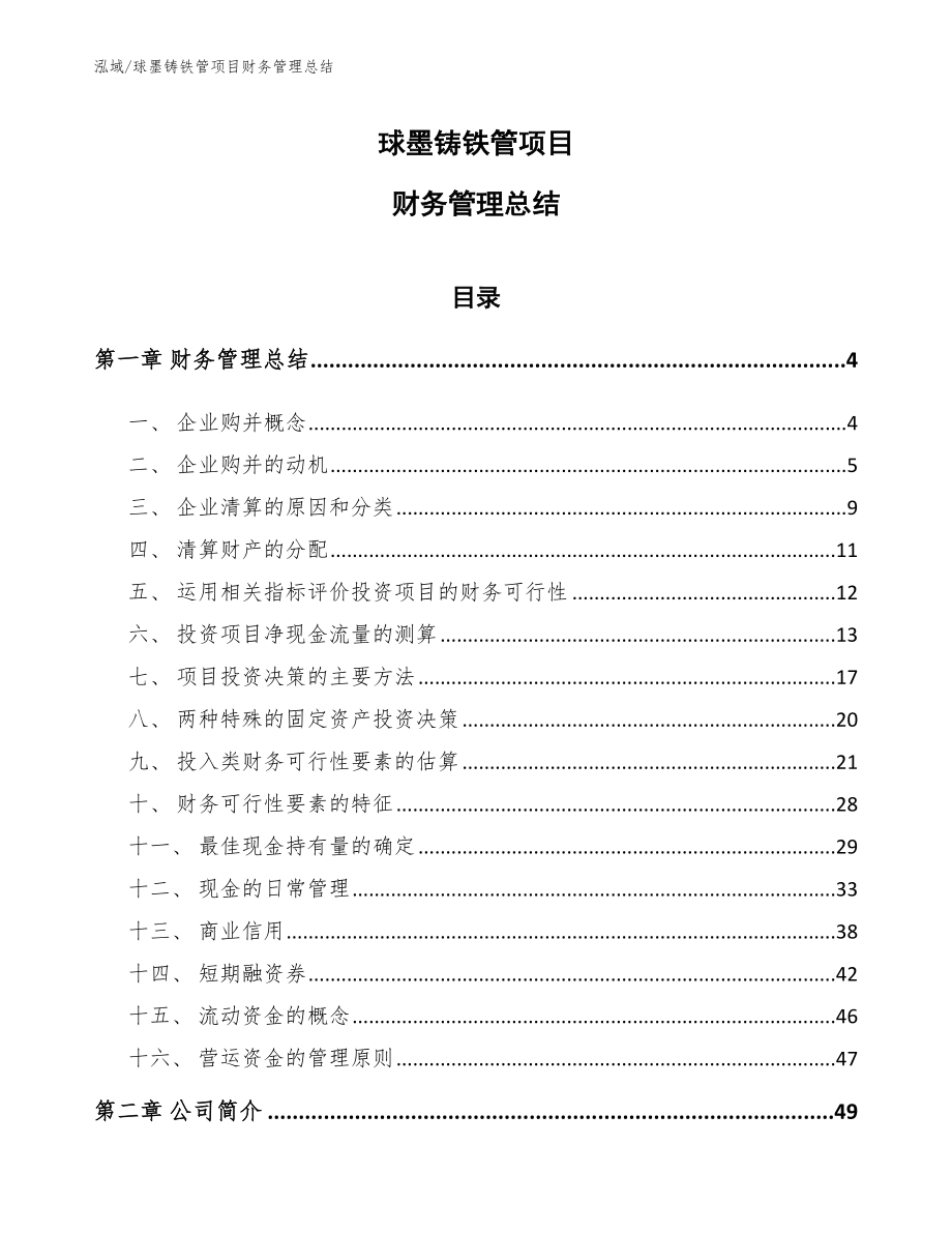 球墨铸铁管项目财务管理总结_参考_第1页