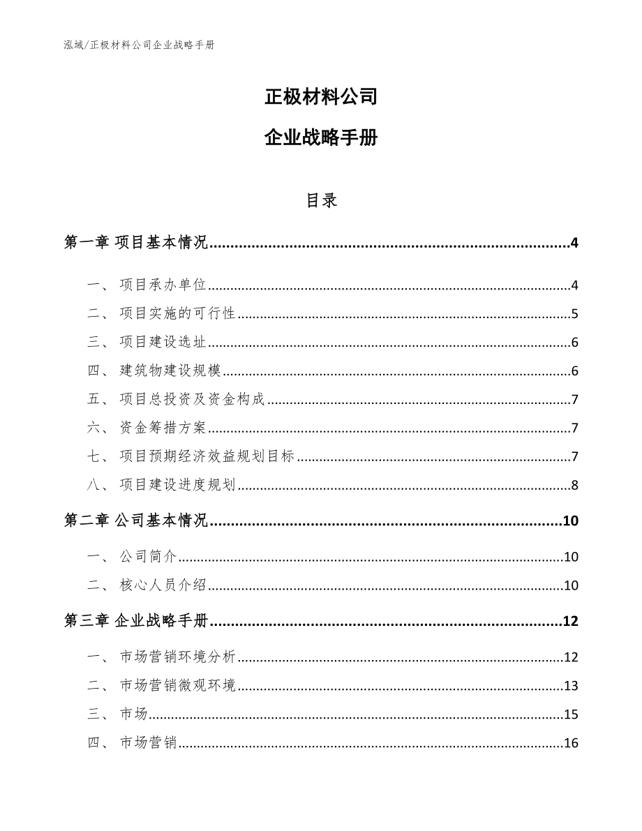 正极材料公司企业战略手册_第1页