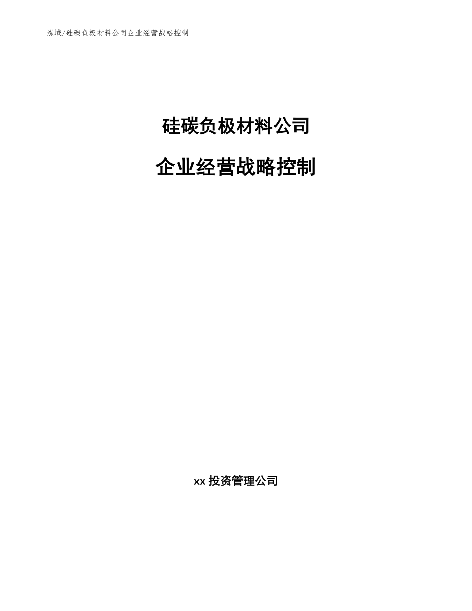 硅碳负极材料公司企业经营战略控制（参考）_第1页