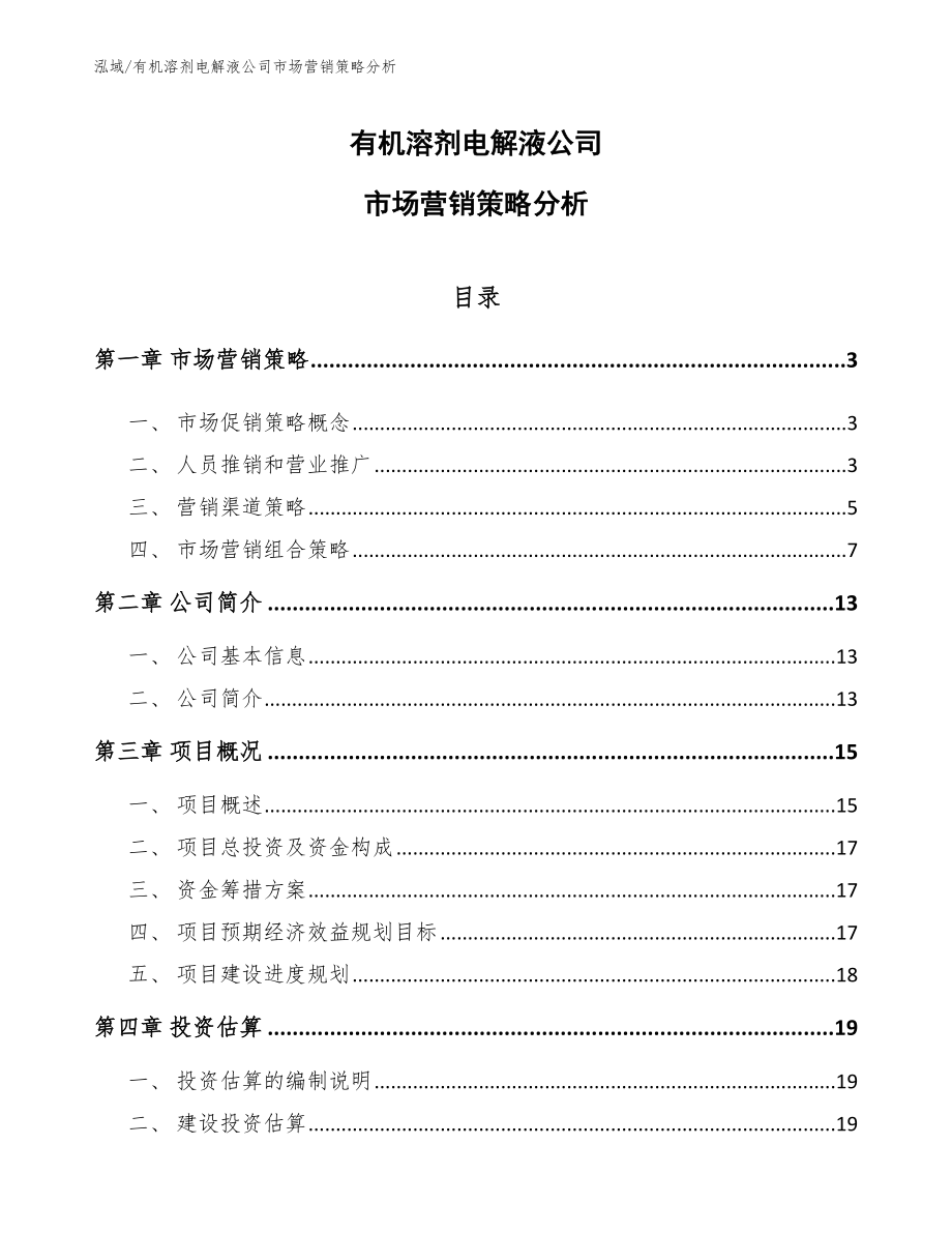 有机溶剂电解液公司市场营销策略分析_第1页