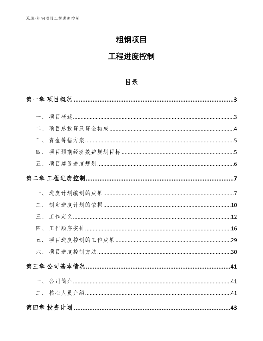 粗钢项目工程进度控制【范文】_第1页