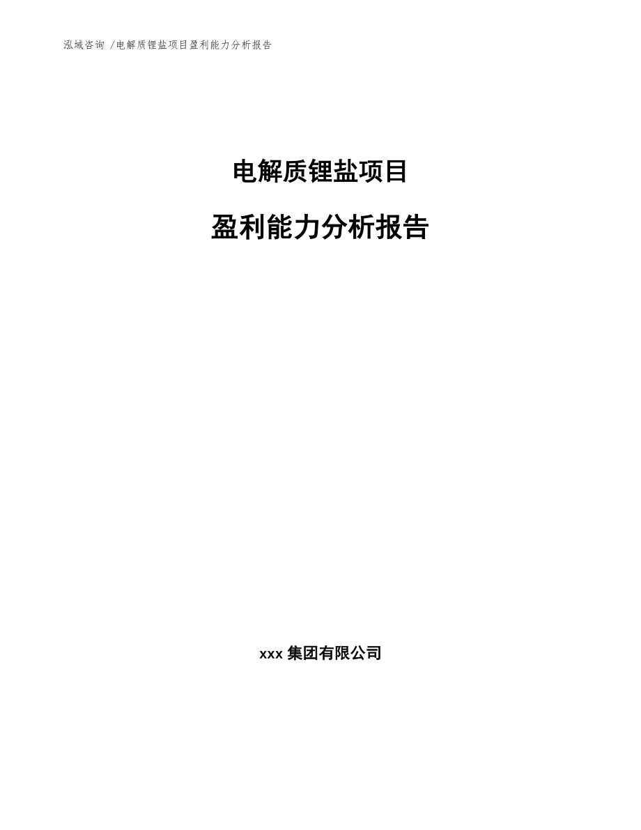 电解质锂盐项目盈利能力分析报告_模板参考_第1页