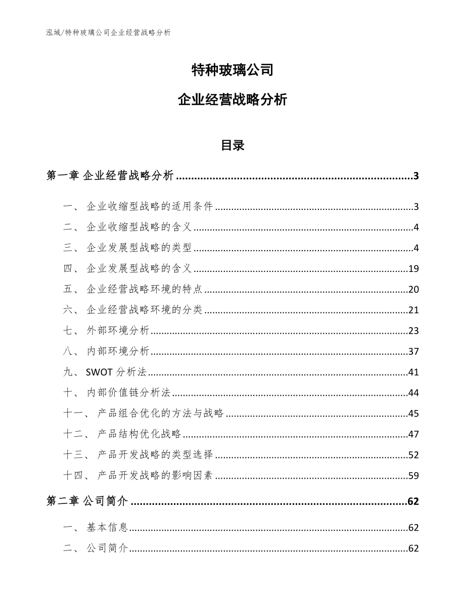 特种玻璃公司企业经营战略分析【范文】_第1页